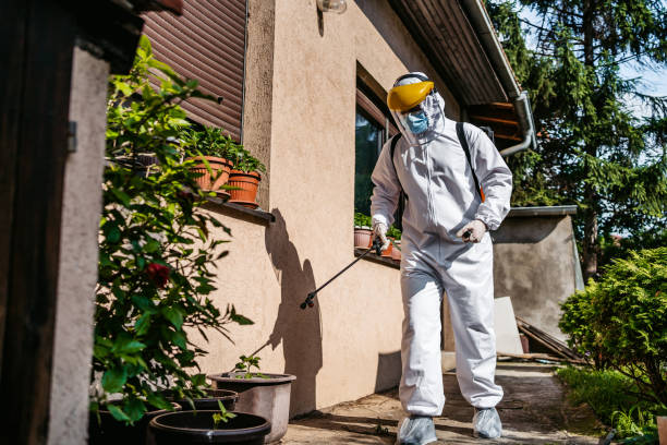 Best Ant Control Services  in La Vernia, TX