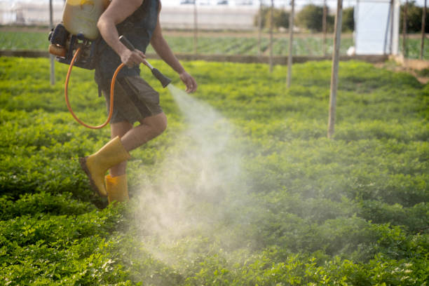 Best Pest Prevention Services  in La Vernia, TX