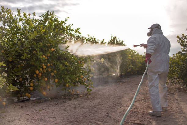 Pest Prevention Services in La Vernia, TX