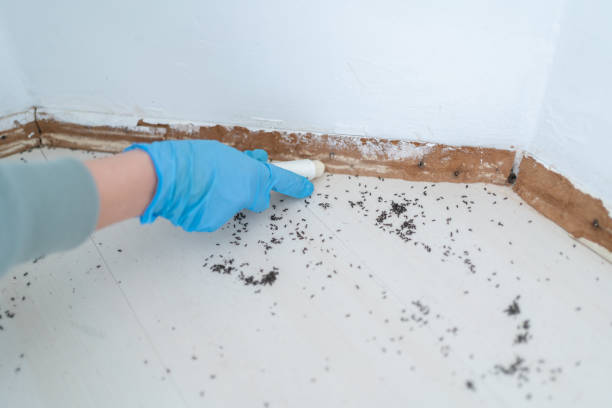 Best Best Pest Control Companies  in La Vernia, TX