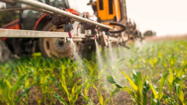 Best Pest Removal Services  in La Vernia, TX
